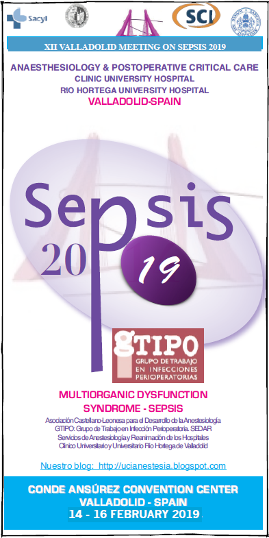 XII Valladolid Meeting on Sepsis 2019