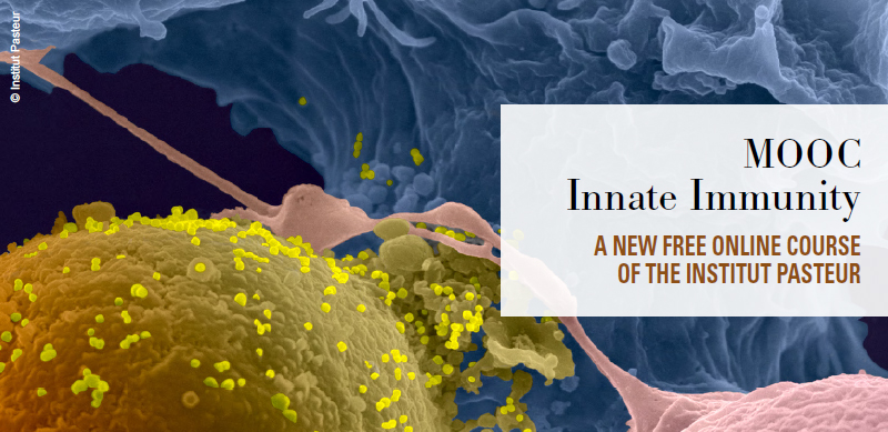 MOOC Innate Immunity – A new free online course of the Institut Pasteur